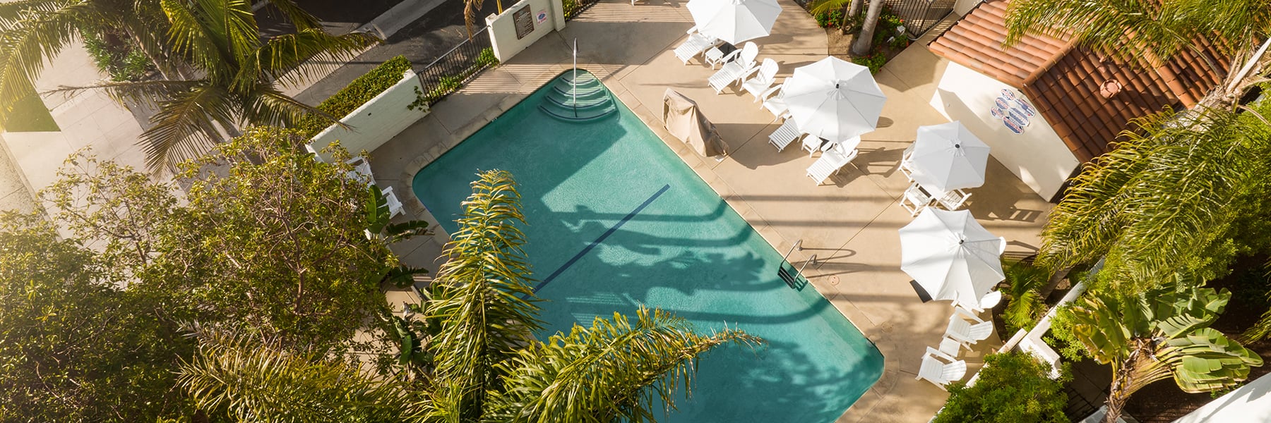 An aerial view of a swimming pool with white lounge chairs and umbrellas surrounded by trees.